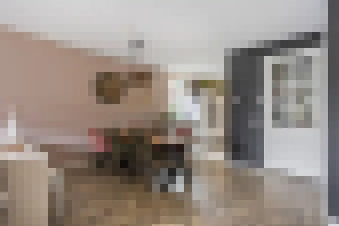 Sneekermeer 60 Zoetermeer thumbnail 8