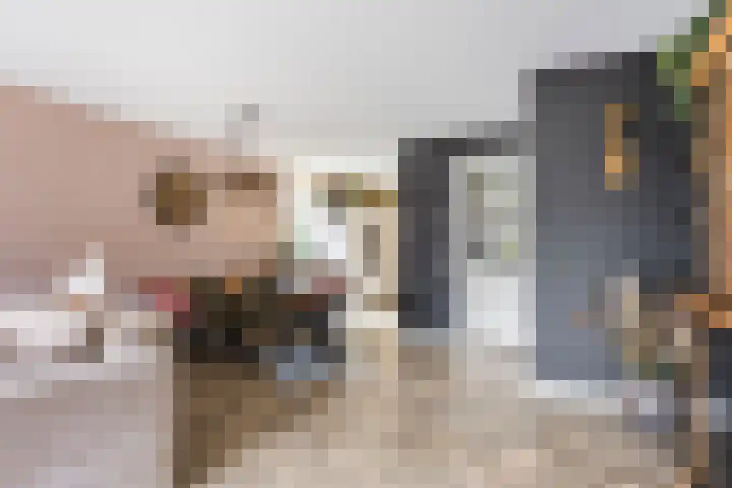 Sneekermeer 60 Zoetermeer thumbnail 9