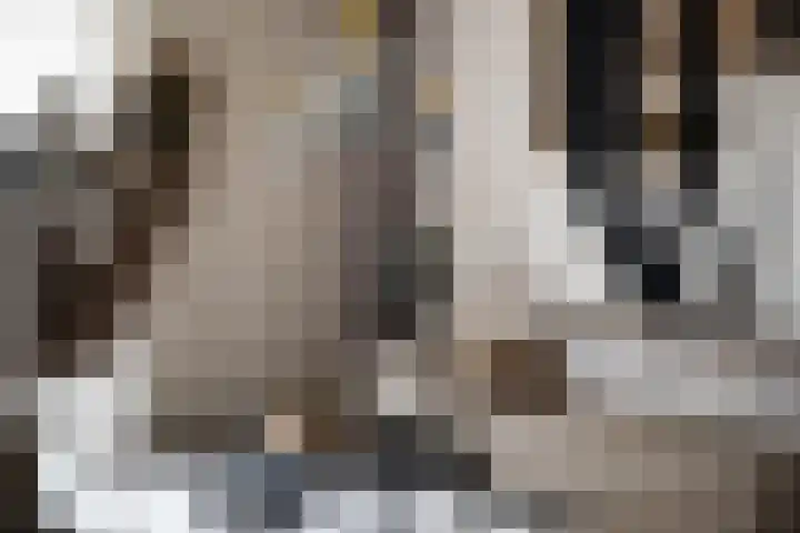 Sneekermeerplantsoen 10 Berkel en Rodenrijs thumbnail 13
