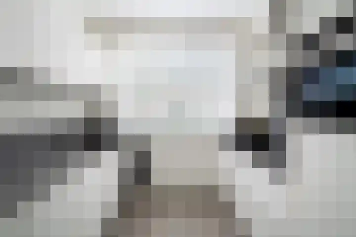 Sneekermeerplantsoen 10 Berkel en Rodenrijs thumbnail 15