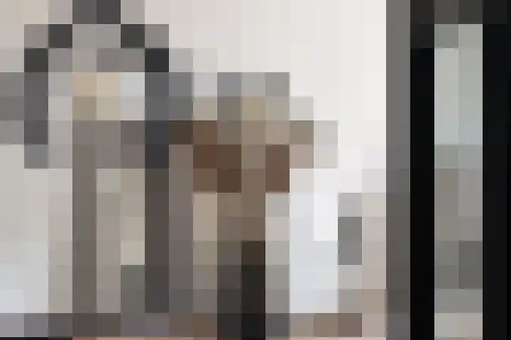 Sneekermeerplantsoen 10 Berkel en Rodenrijs thumbnail 16