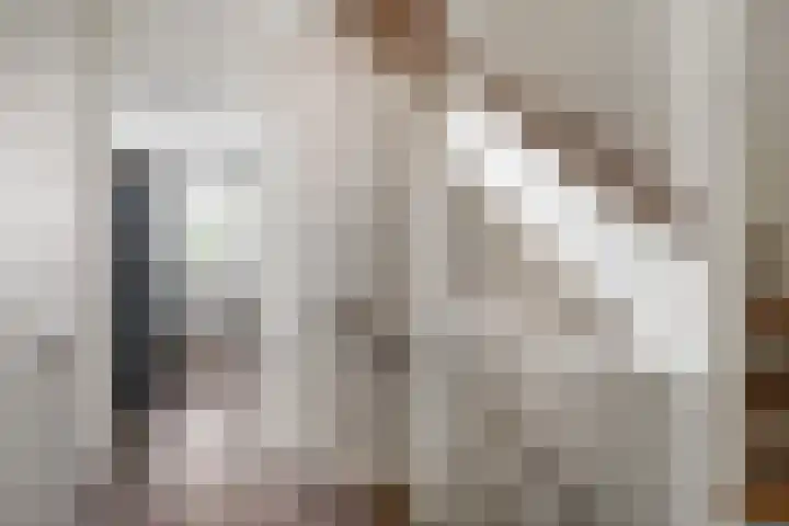 Sneekermeerplantsoen 10 Berkel en Rodenrijs thumbnail 19