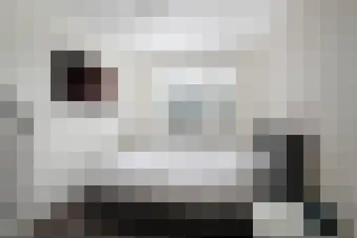 Sneekermeerplantsoen 10 Berkel en Rodenrijs thumbnail 20