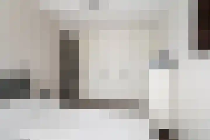 Sneekermeerplantsoen 10 Berkel en Rodenrijs thumbnail 21