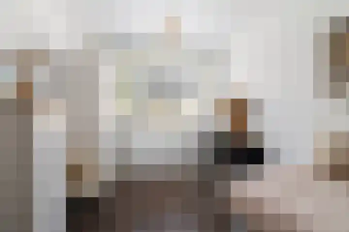 Sneekermeerplantsoen 10 Berkel en Rodenrijs thumbnail 24