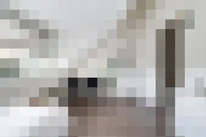 Sneekermeerplantsoen 10 Berkel en Rodenrijs thumbnail 30