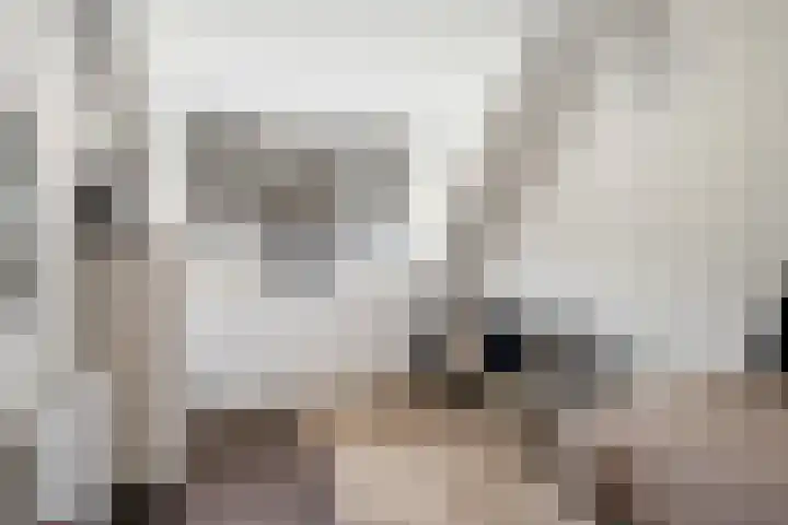 Sneekermeerplantsoen 10 Berkel en Rodenrijs thumbnail 32