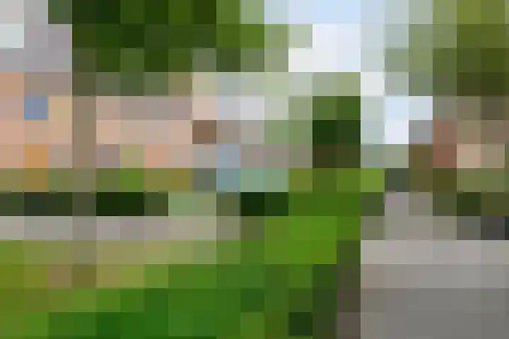 Sneekermeerplantsoen 10 Berkel en Rodenrijs thumbnail 37