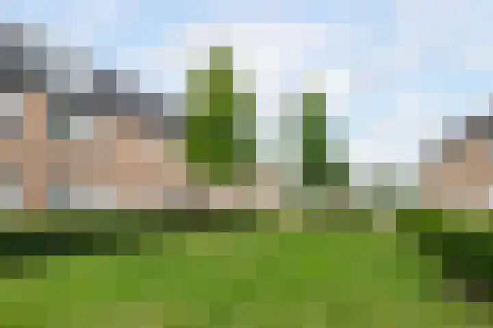 Sneekermeerplantsoen 10 Berkel en Rodenrijs thumbnail 38