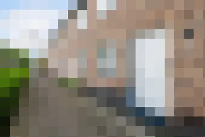 Sneekermeerplantsoen 10 Berkel en Rodenrijs thumbnail 5