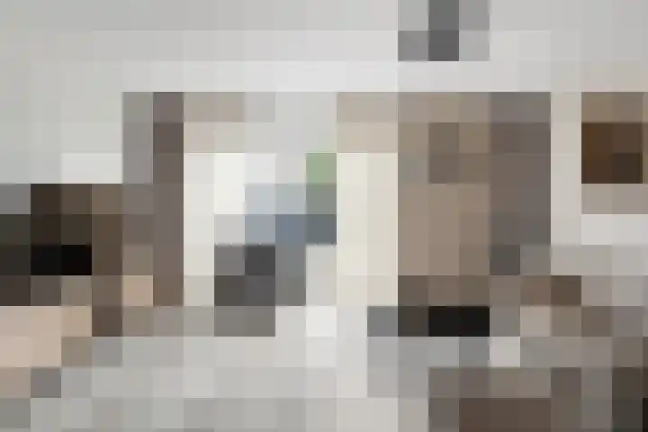 Sneekermeerplantsoen 10 Berkel en Rodenrijs thumbnail 8