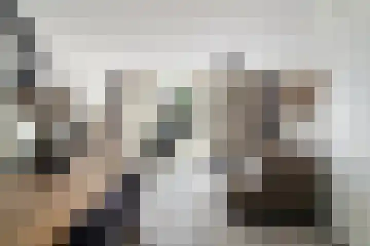 Sneekermeerplantsoen 10 Berkel en Rodenrijs thumbnail 9