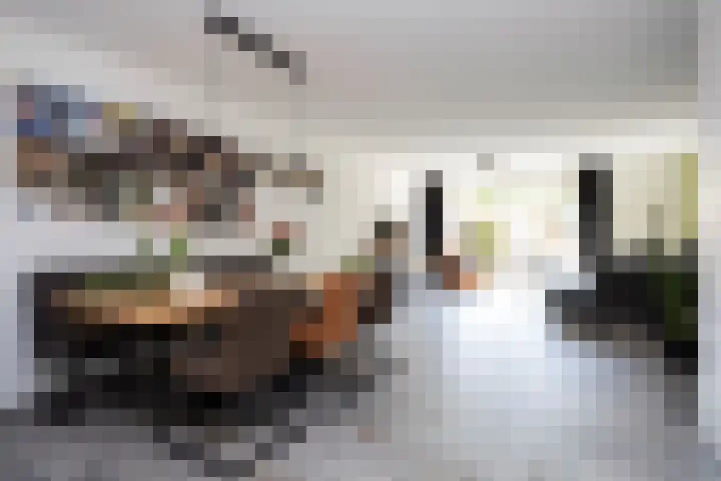 Sneekermeerplantsoen 14 Berkel en Rodenrijs thumbnail 16