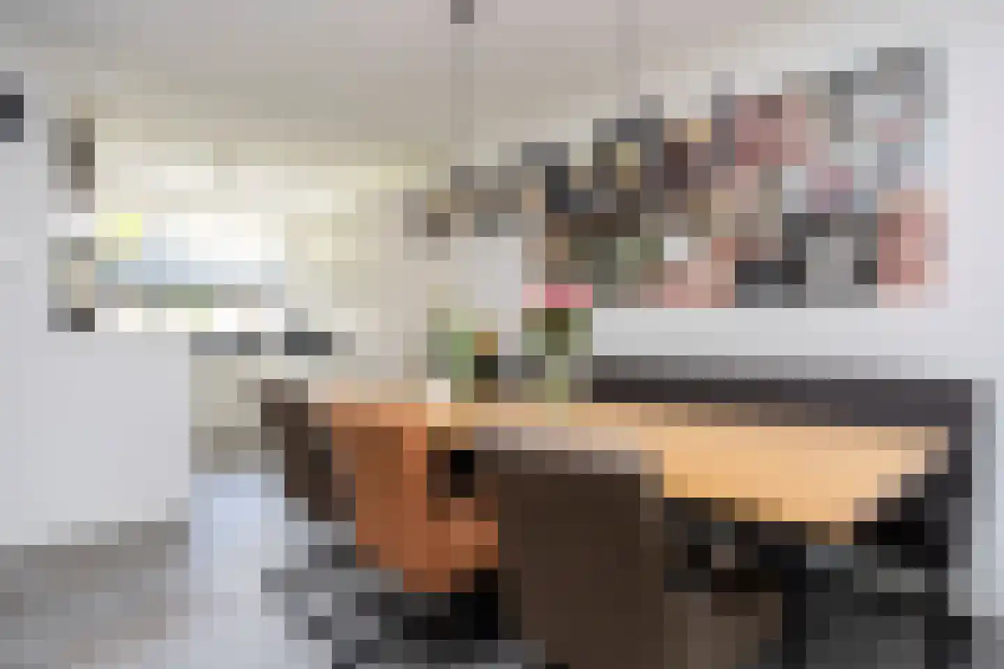 Sneekermeerplantsoen 14 Berkel en Rodenrijs thumbnail 18