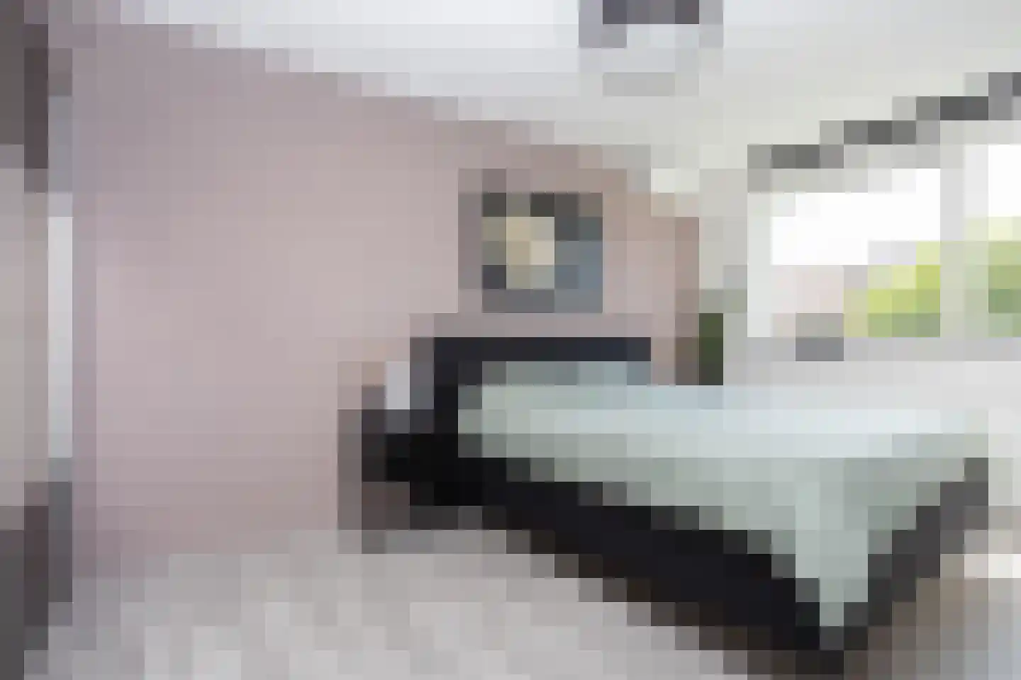 Sneekermeerplantsoen 14 Berkel en Rodenrijs thumbnail 23
