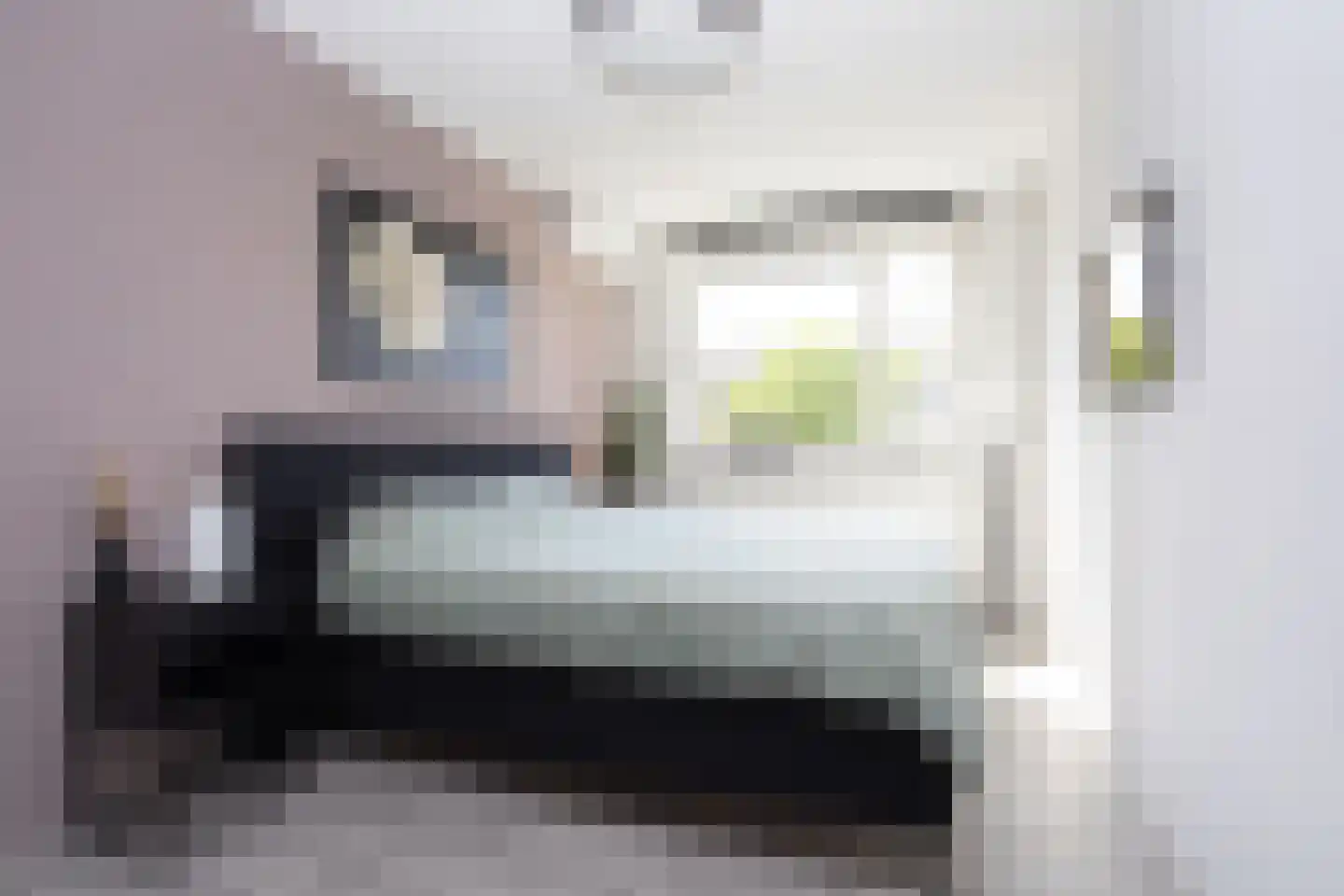 Sneekermeerplantsoen 14 Berkel en Rodenrijs thumbnail 24