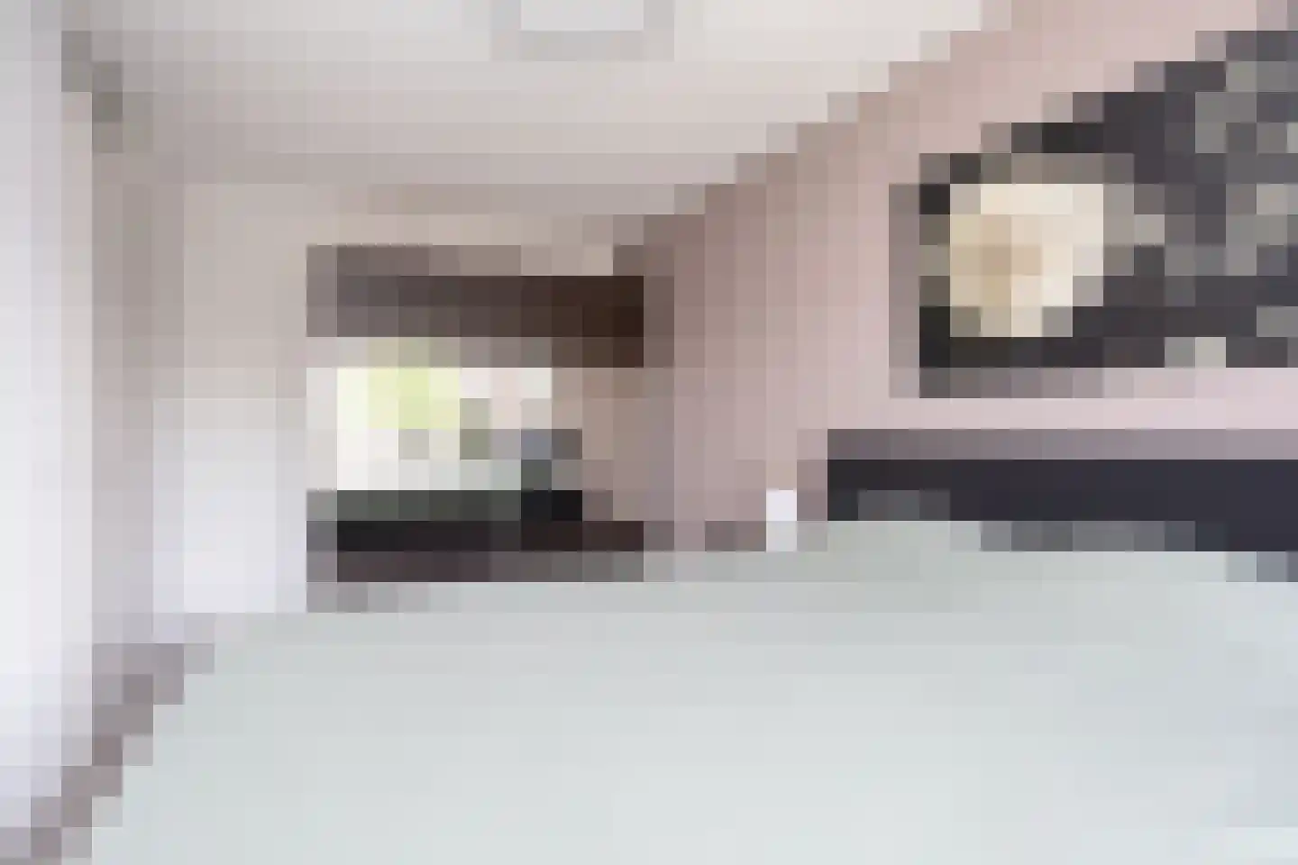 Sneekermeerplantsoen 14 Berkel en Rodenrijs thumbnail 25
