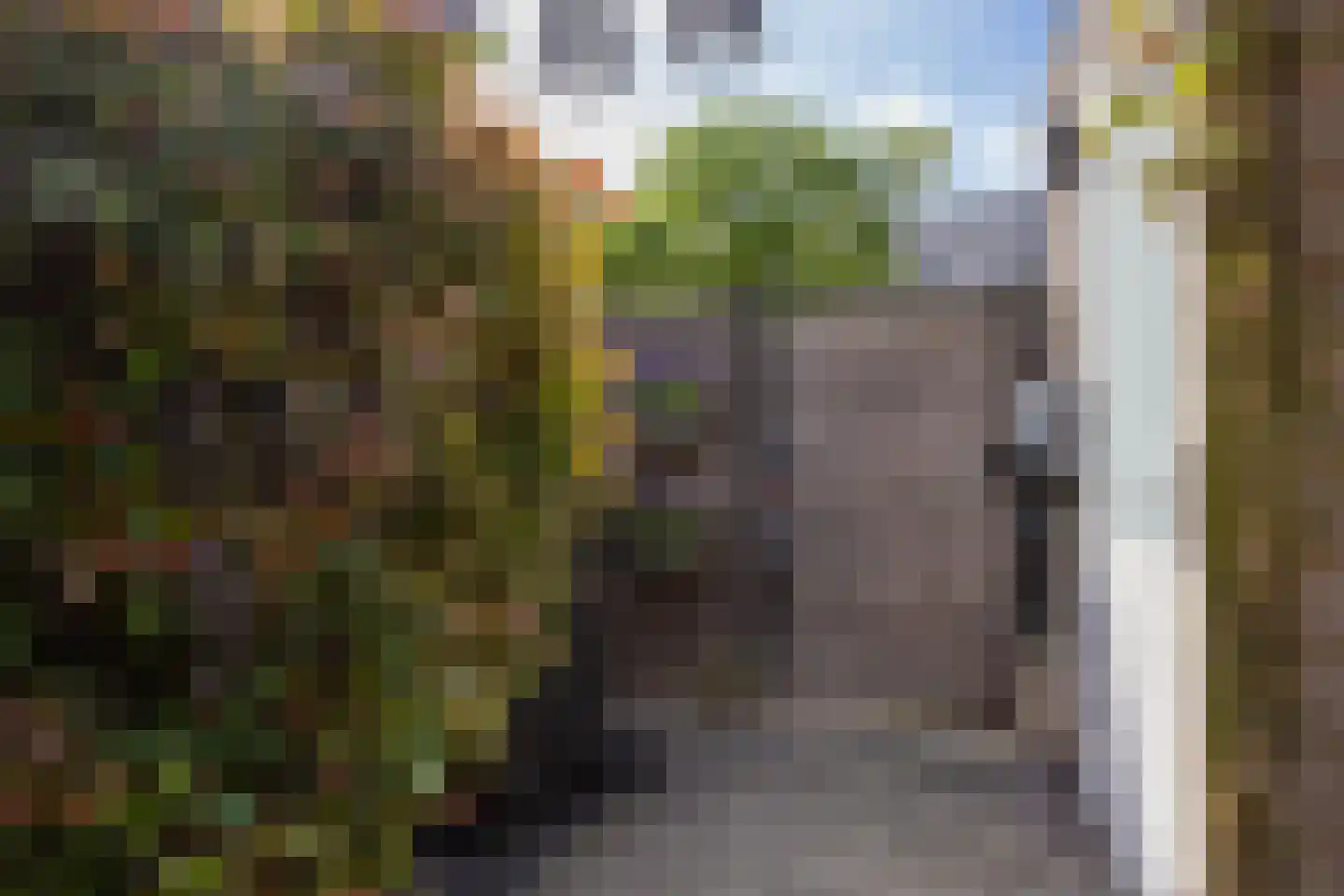 Sneekermeerplantsoen 14 Berkel en Rodenrijs thumbnail 46