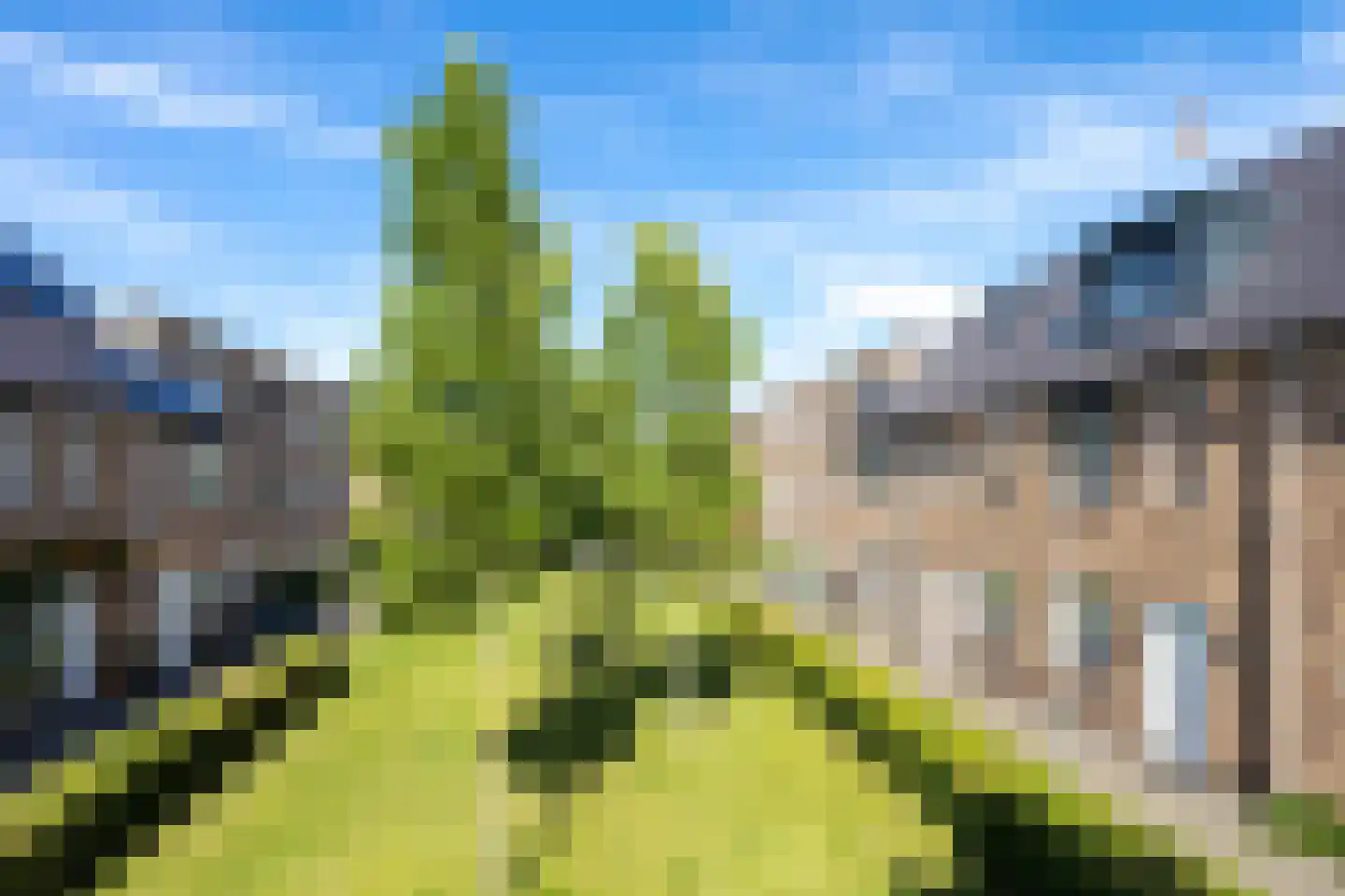 Sneekermeerplantsoen 14 Berkel en Rodenrijs thumbnail 5