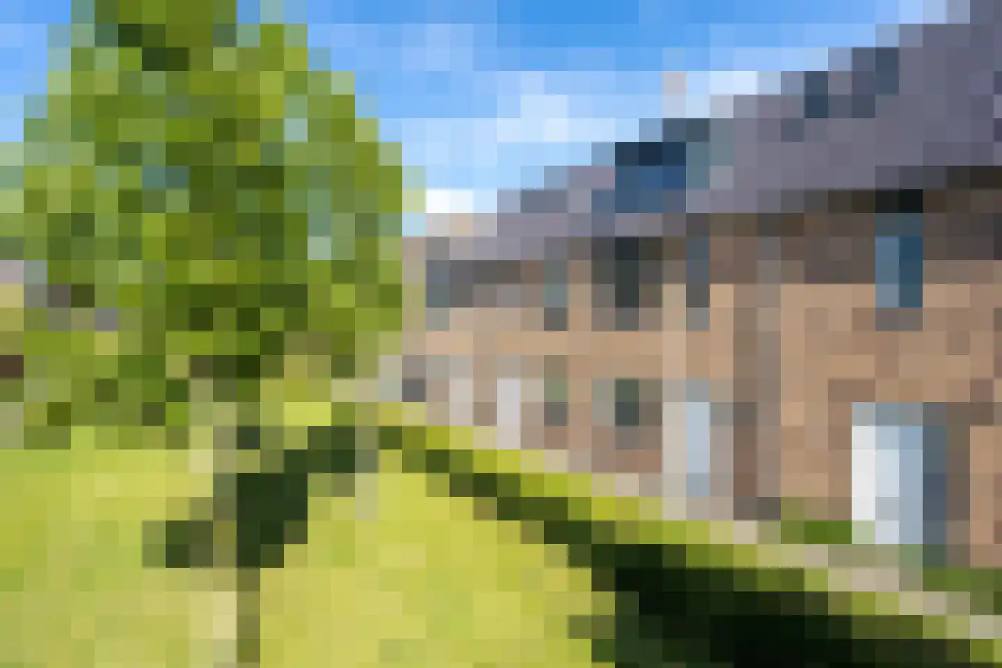 Sneekermeerplantsoen 14 Berkel en Rodenrijs thumbnail 6