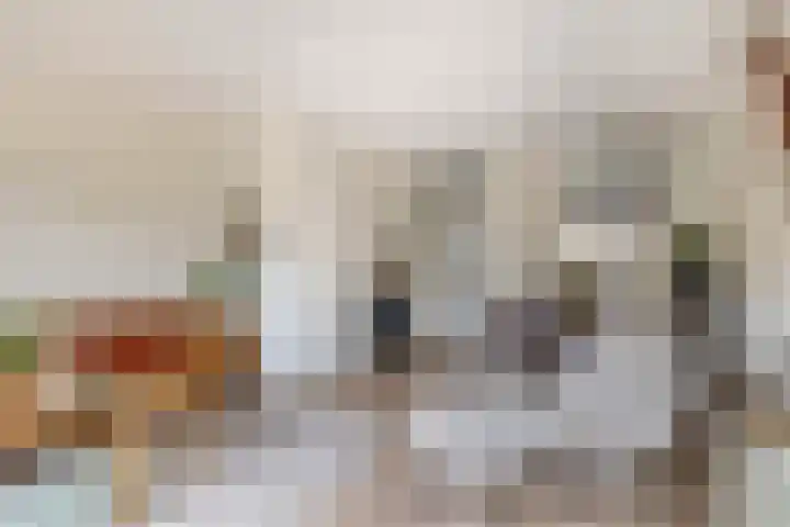 Sneekermeerplantsoen 24 Berkel en Rodenrijs thumbnail 13