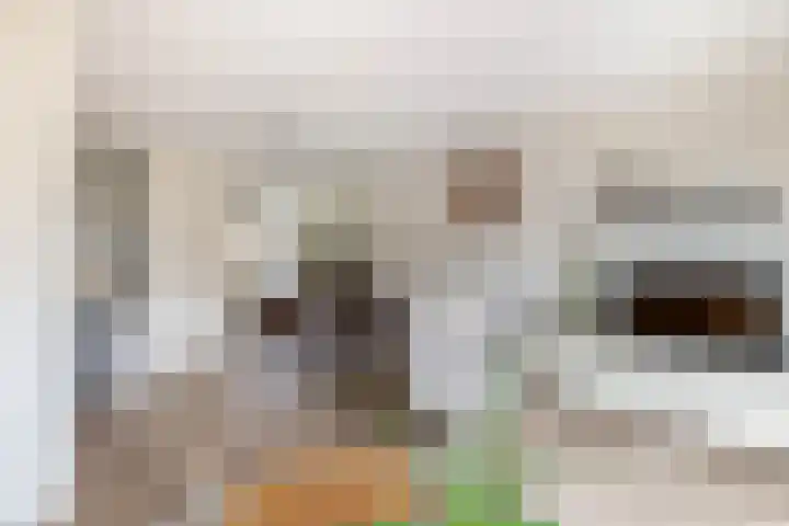 Sneekermeerplantsoen 24 Berkel en Rodenrijs thumbnail 14