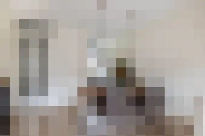 Sneekermeerplantsoen 24 Berkel en Rodenrijs thumbnail 15