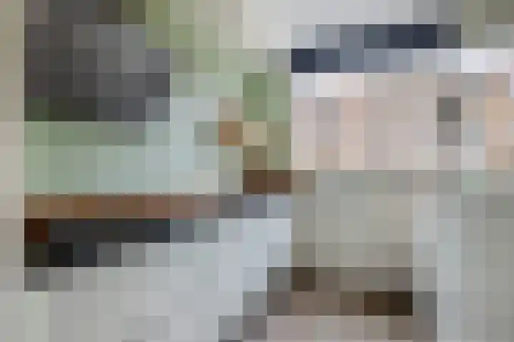 Sneekermeerplantsoen 24 Berkel en Rodenrijs thumbnail 17