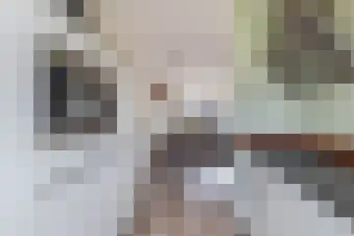 Sneekermeerplantsoen 24 Berkel en Rodenrijs thumbnail 18
