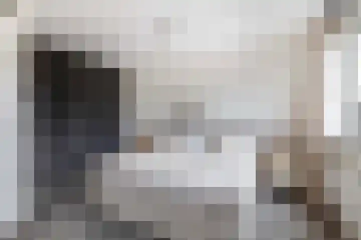 Sneekermeerplantsoen 24 Berkel en Rodenrijs thumbnail 20