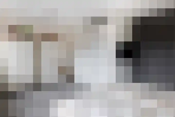 Sneekermeerplantsoen 24 Berkel en Rodenrijs thumbnail 21