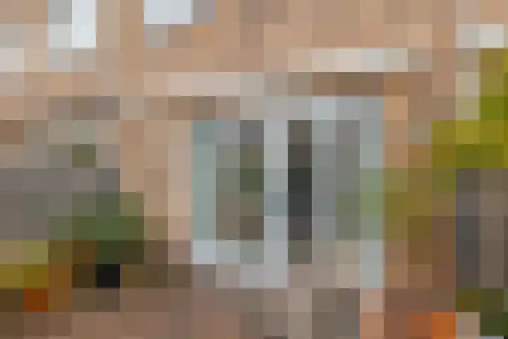 Sneekermeerplantsoen 24 Berkel en Rodenrijs thumbnail 24