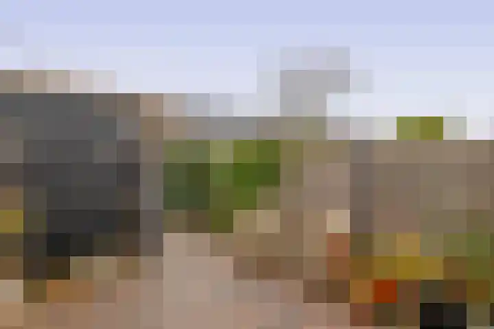 Sneekermeerplantsoen 24 Berkel en Rodenrijs thumbnail 25