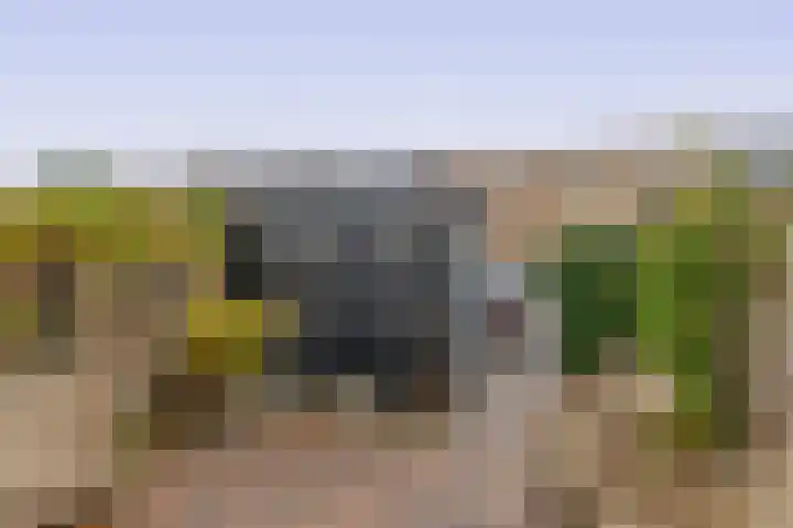 Sneekermeerplantsoen 24 Berkel en Rodenrijs thumbnail 26