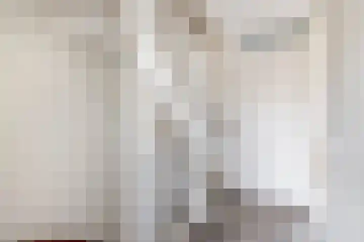 Sneekermeerplantsoen 24 Berkel en Rodenrijs thumbnail 28