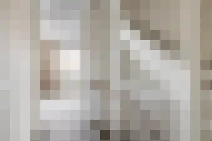 Sneekermeerplantsoen 24 Berkel en Rodenrijs thumbnail 29