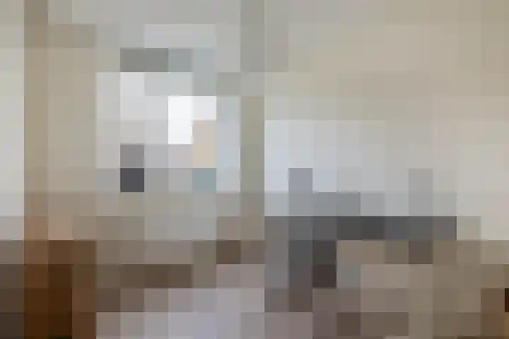 Sneekermeerplantsoen 24 Berkel en Rodenrijs thumbnail 33