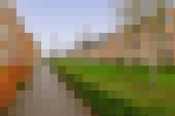 Sneekermeerplantsoen 24 Berkel en Rodenrijs thumbnail 36