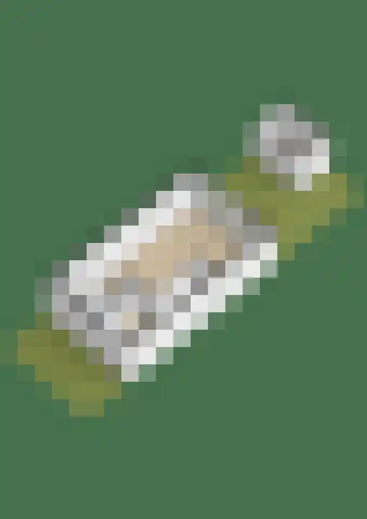 Sneekermeerplantsoen 24 Berkel en Rodenrijs thumbnail 45