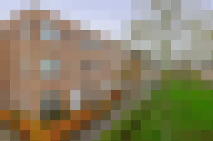 Sneekermeerplantsoen 24 Berkel en Rodenrijs thumbnail 5