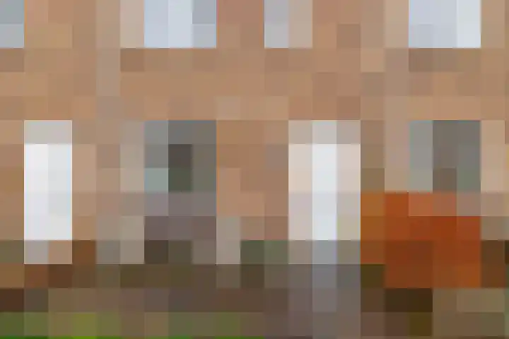 Sneekermeerplantsoen 24 Berkel en Rodenrijs thumbnail 7