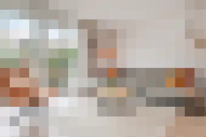 Sneekermeerplantsoen 26 Berkel en Rodenrijs thumbnail 10