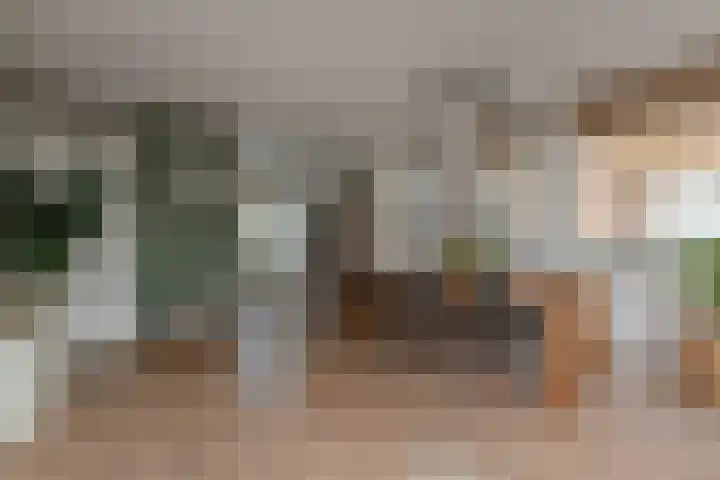 Sneekermeerplantsoen 26 Berkel en Rodenrijs thumbnail 11