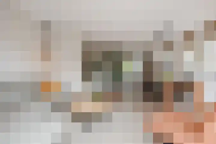 Sneekermeerplantsoen 26 Berkel en Rodenrijs thumbnail 12