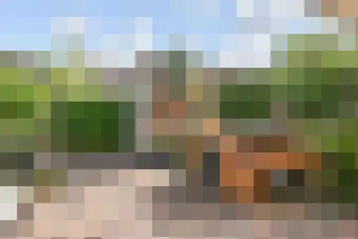 Sneekermeerplantsoen 26 Berkel en Rodenrijs thumbnail 13