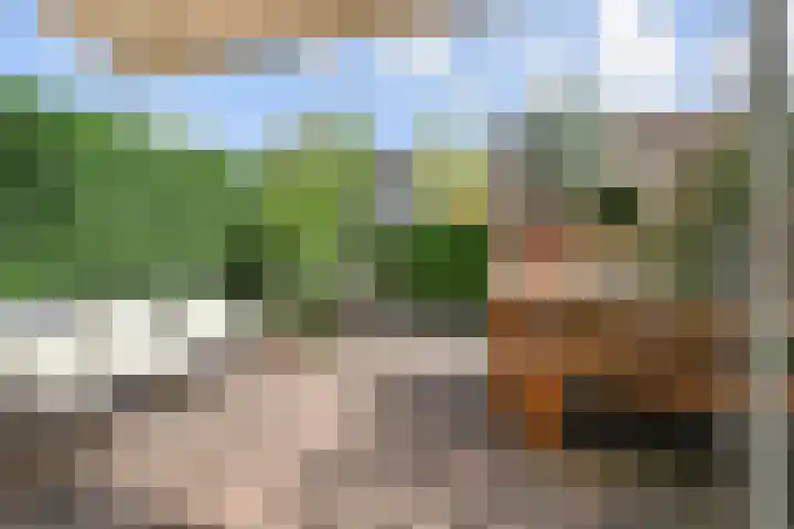 Sneekermeerplantsoen 26 Berkel en Rodenrijs thumbnail 14