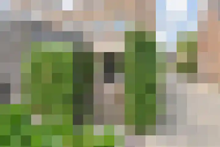 Sneekermeerplantsoen 26 Berkel en Rodenrijs thumbnail 15