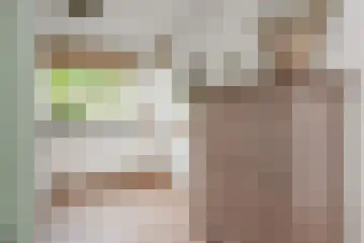 Sneekermeerplantsoen 26 Berkel en Rodenrijs thumbnail 16