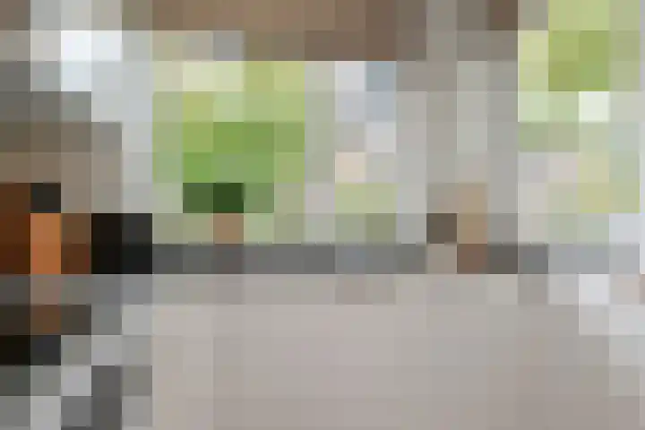 Sneekermeerplantsoen 26 Berkel en Rodenrijs thumbnail 17