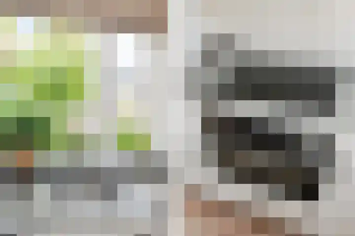 Sneekermeerplantsoen 26 Berkel en Rodenrijs thumbnail 18